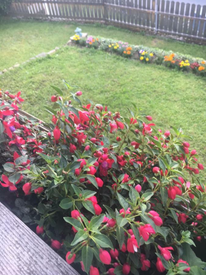 Ferienwohnung Renate Arnoldstein Exteriör bild